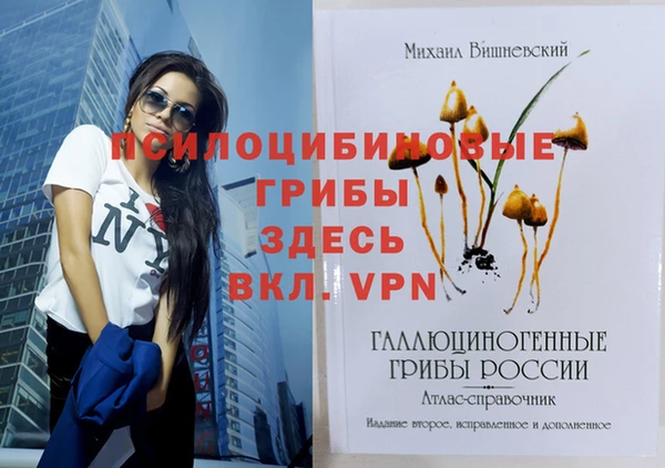 спиды Балахна