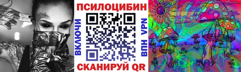 Псилоцибиновые грибы мицелий  Борисоглебск 
